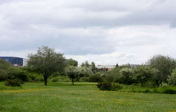 Vista del hoyo 12 del campo de La Morgal